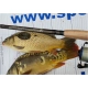 SPORTEX - Prút Xclusive Heavy Feeder NT 3,9 m 100-190 g