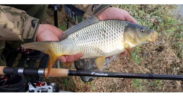 SPORTEX - Prút Xclusive Medium Feeder NT 4,2 m 90 - 160 g