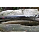 SPORTEX - Prút Xclusive Medium Light Feeder NT 3,6 m 60-120 g