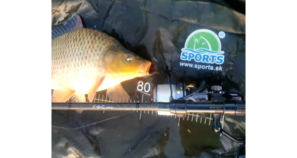 SPORTEX - Rybársky prút FBC Carp 3,96 m 3,50 lb