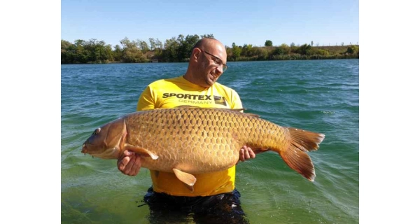 SPORTEX - T-Shirt Tričko s veľkým logom žlté Veľ. XL