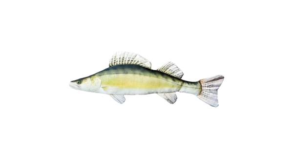 SPORTS - Dekoračný vankúš Candát 77 cm