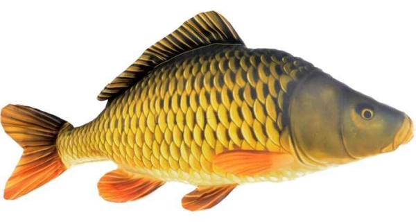 SPORTS - Dekoračný vankúš kapor šupináč 61 cm