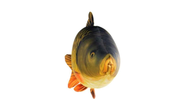 SPORTS - Dekoračný vankúš kapor šupináč 61 cm