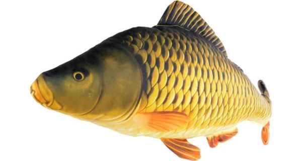 SPORTS - Dekoračný vankúš kapor šupináč 61 cm