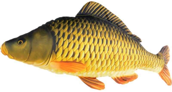 SPORTS - Dekoračný vankúš kapor šupináč 61 cm