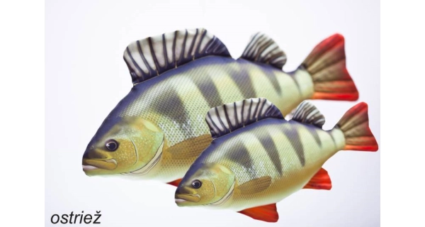 SPORTS - Dekoračný vankúš Okoun