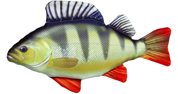 SPORTS - Dekoračný vankúš Okoun