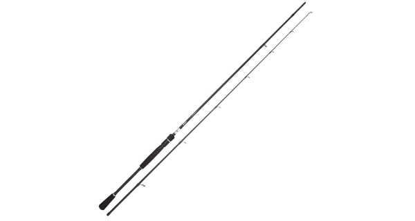 SPRO - Prút DSX H 2,4 m 20-60 g