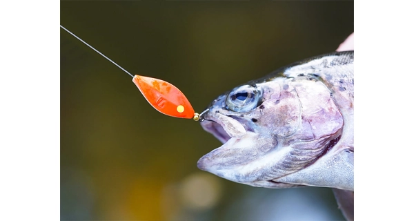 SPRO - Trblietka Trout Master Incy Inline Spin Spoon 3 g Lime 1 ks