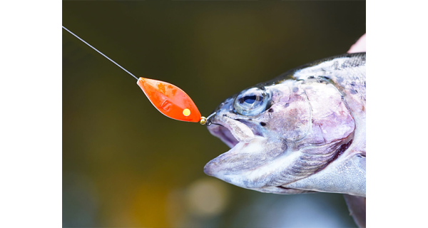 SPRO - Trblietka Trout Master Incy Inline Spin Spoon 3 g Pink Yellow 1 ks