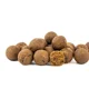 SQUAT CARP - Active Boilies 20 mm 1 kg Calanus