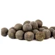 SQUAT CARP - Active Boilies 20 mm 5 kg Anchovy+