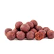 SQUAT CARP - Active Boilies 24 mm 1 kg Bloody Mullberry