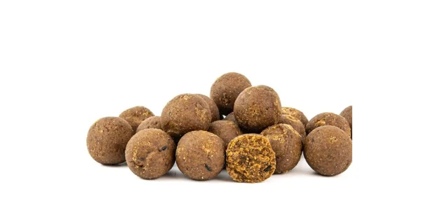 SQUAT CARP - Active Boilies 24 mm 1 kg Calanus