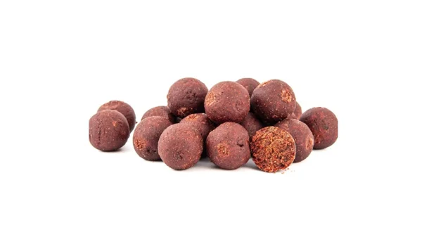 SQUAT CARP - Active Boilies 24 mm 5 kg Big Boss