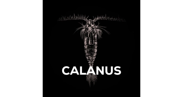 SQUAT CARP - Bait Spray Calanus 50 ml