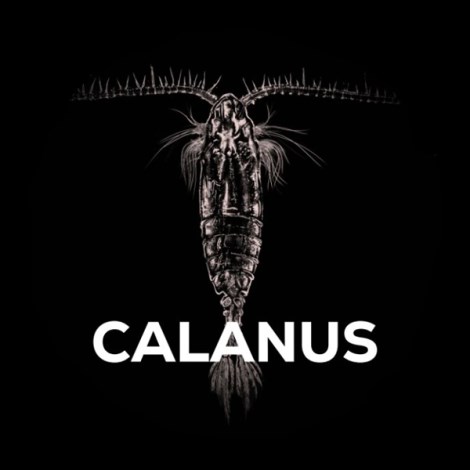 SQUAT CARP - Bait Spray Calanus 50 ml