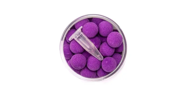 SQUAT CARP - Boilies Pop Up 12 mm 60 g Plum Jam