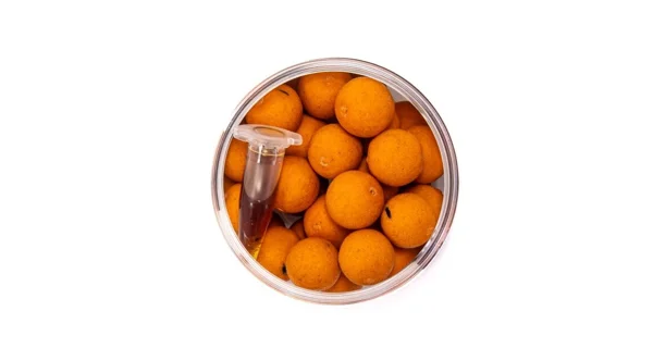 SQUAT CARP - Boilies Pop Up 16 mm 60 g Anchovy+