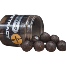 SQUAT CARP - Boilies v dipe Hi-Attract Anchovy 18 mm 220 g