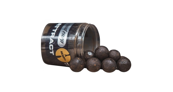 SQUAT CARP - Boilies v dipe Hi-Attract Anchovy+ 220 g 18 mm