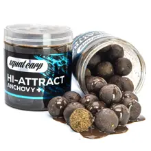 SQUAT CARP - Boilies v dipe Hi-Attract Anchovy+ 220 g 20 mm