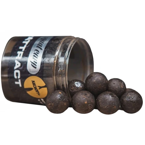 SQUAT CARP - Boilies v dipe Hi-Attract Anchovy+ 220 g 24 mm
