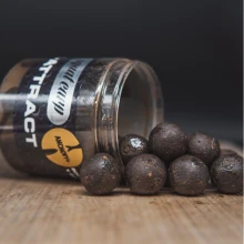 SQUAT CARP - Boilies v dipe Hi-Attract Anchovy +220 g 24 mm SQUAT CARP - Boilies v dipe Hi-Attract Anchovy +220 g 24 mm