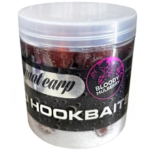 SQUAT CARP - Boilies v morskej soli Hard Hookbaits Bloody Mulberry 20 mm