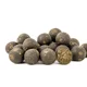 SQUAT CARP - Hotové boilies Anchovy+ 1 kg 24 mm