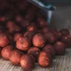 SQUAT CARP - Hotové Boilies Big Boss 1 kg 24 mm