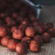 SQUAT CARP - Hotové boilies Bloody Mulberry 5 kg 24 mm