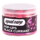 SQUAT CARP - Plávajúce Boilies Pop-Up BlackCurrant 60 g 16 mm