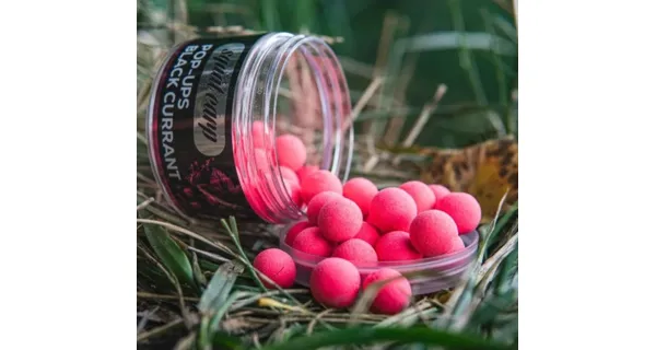 SQUAT CARP - Plávajúce Boilies Pop-Up BlackCurrant 60 g 16 mm
