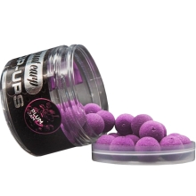 SQUAT CARP - Pop Up 12 mm 60 g Plum Jam