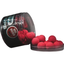 SQUAT CARP - Pop Up 20 mm 60 g Big Boss