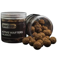 SQUAT CARP - Rozpustné neutrálne vyvážené boilies Active Wafters Calanus 24 mm 150 g