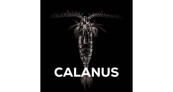 SQUAT CARP - Stick Mix Calanus 1 kg + Booster 100 ml