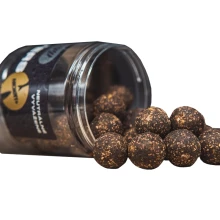 SQUAT CARP - Vyvážené boilies Wafters Anchovy+ 24 mm