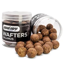 SQUAT CARP - Vyvážené boilies Wafters Calanus 18 mm