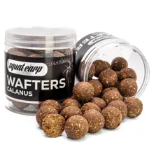 SQUAT CARP - Vyvážené boilies Wafters Calanus 24 mm