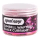 SQUAT CARP - Wafters Dumbells BlackCurrant 10x16 mm