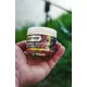 SQUAT CARP - Wafters Dumbells Tutti Frutti 10x16 mm