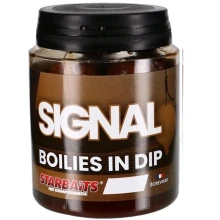 STARBAITS - Boilies v dipe Concept Signal 24 mm 150 g