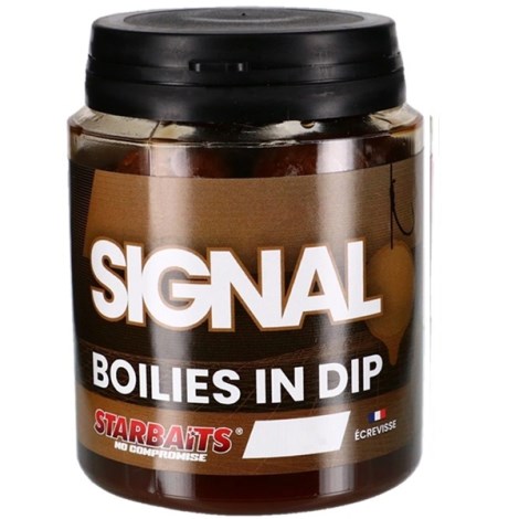 STARBAITS - Boilies v dipe Concept Signal 24 mm 150 g
