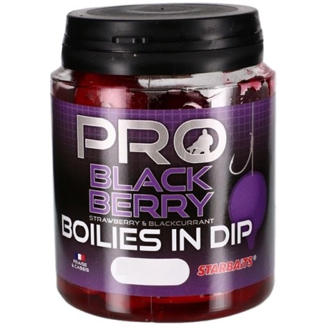 STARBAITS - Boilies v dipe Probiotic Blackberry 20 mm 150 g