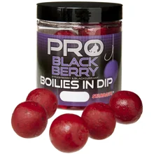 STARBAITS - Boilies v dipe Probiotic Blackberry 20 mm 150 g