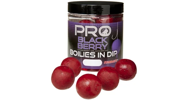 STARBAITS - Boilies v dipe Probiotic Blackberry 20 mm 150 g