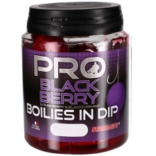 STARBAITS - Boilies v dipe Probiotic Blackberry 24 mm 150 g